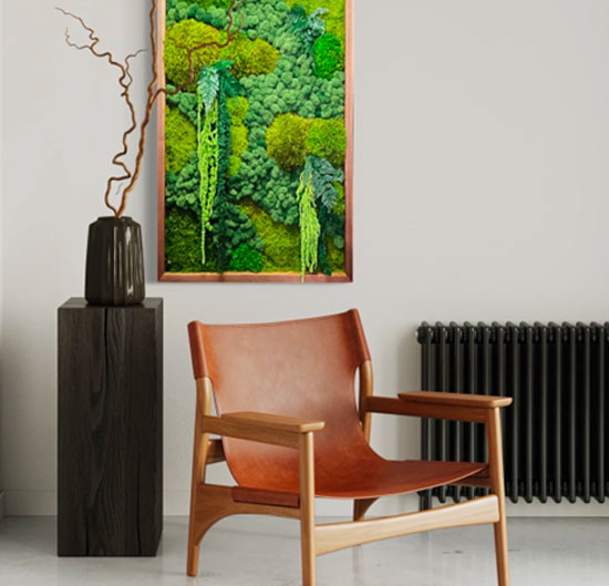 Biophilic Designs