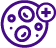 Helps to Protect Cellular & Tissue Health* - icon image